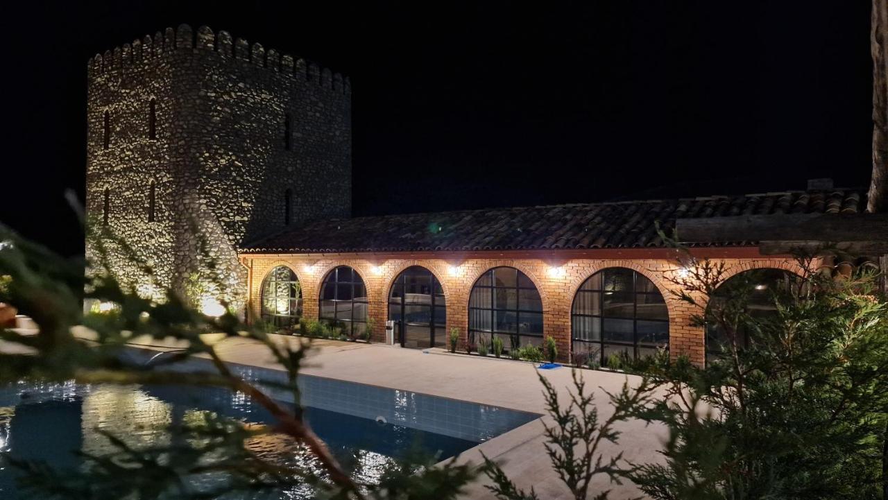 Giorgi Ushikishvilis Chateau-Marani Akhmeta 外观 照片