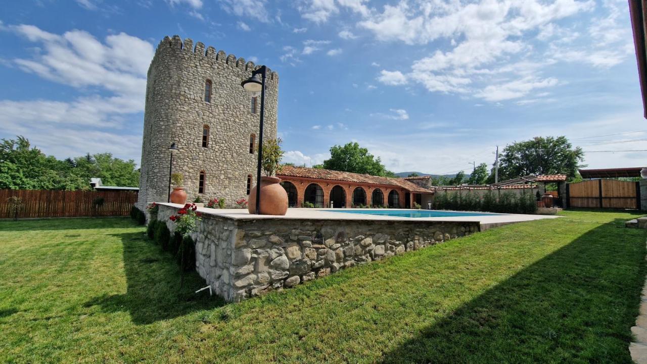 Giorgi Ushikishvilis Chateau-Marani Akhmeta 外观 照片
