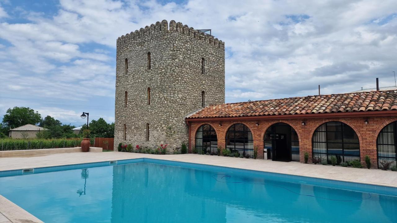 Giorgi Ushikishvilis Chateau-Marani Akhmeta 外观 照片