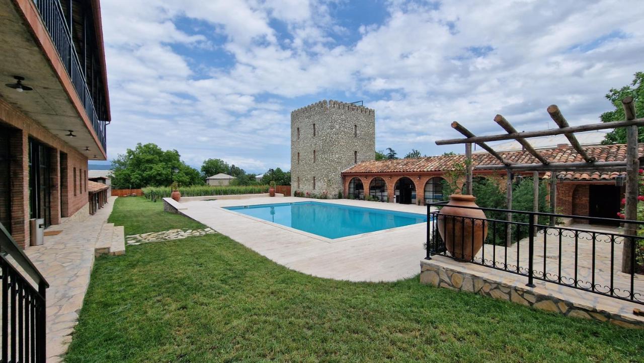 Giorgi Ushikishvilis Chateau-Marani Akhmeta 外观 照片