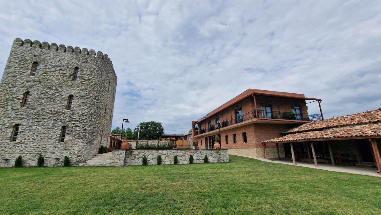 Giorgi Ushikishvilis Chateau-Marani Akhmeta 外观 照片