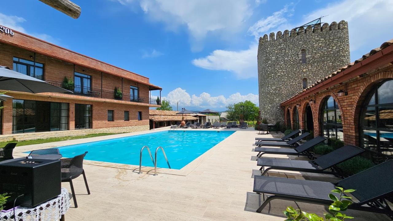 Giorgi Ushikishvilis Chateau-Marani Akhmeta 外观 照片